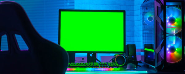 PC gamer